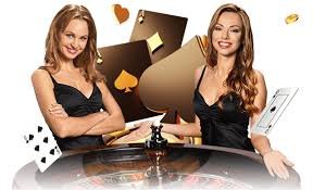 777bet vip 777bet vip